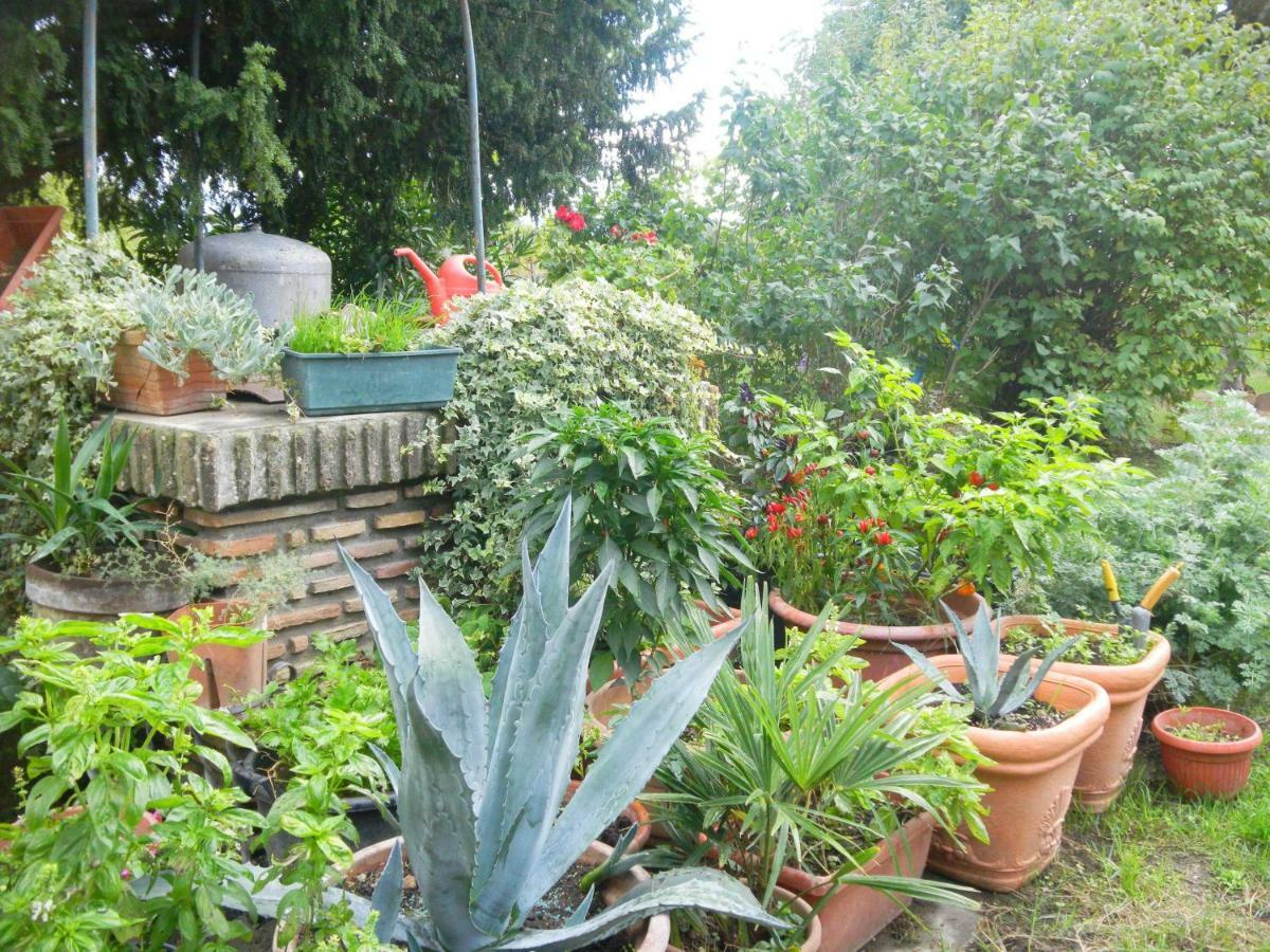 Appartamento Danilla Maratello Exterior foto